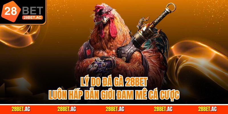 Lý do đá gà 28bet luôn hấp dẫn giới đam mê cá cược